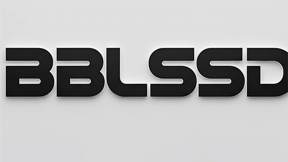 BBLSSD Hero Bild